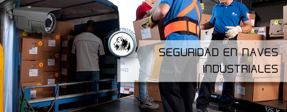 Con una instalacion de SEGUR-PROTECT LEON Visualice los accesos a su NEGOCIO y cualquier punto del mismo,vea que esta ocurriendo o ha ocurrido, Todo quedara registrado, entrada y salida de personal, horarios y absentismo o la llegada de mercancias y daños de la misma